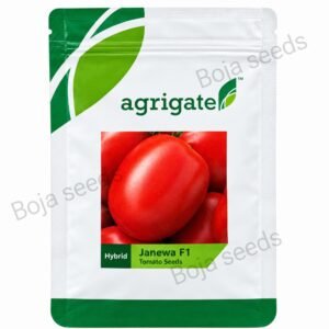 Janewa F1 tomato