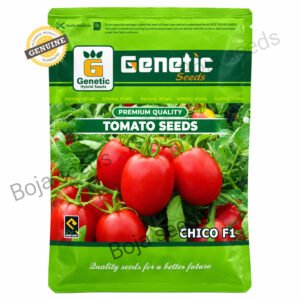 Chico F1 hybrid Tomato