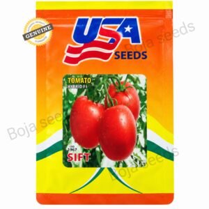Sift F1 tomato